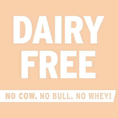 No Cow Protein Bars, Sticky Cinnamon Roll, 22G Plant Based Vegan