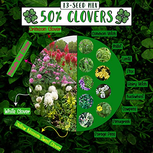 No-Till Cover Crop 13-Seed Mix 1 lb. Bag: [50% Clovers Plus Fe...
