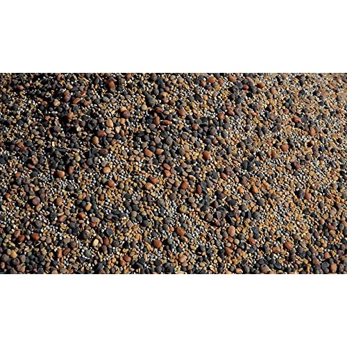 No-Till Cover Crop 13-Seed Mix 1 lb. Bag: [50% Clovers Plus Fe...