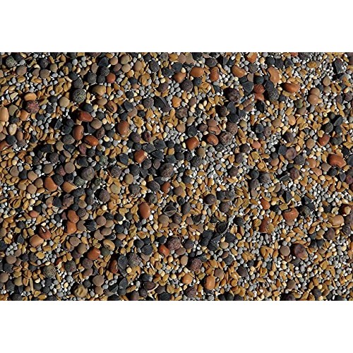 No-Till Cover Crop 13-Seed Mix 1 lb. Bag: [50% Clovers Plus Fe...