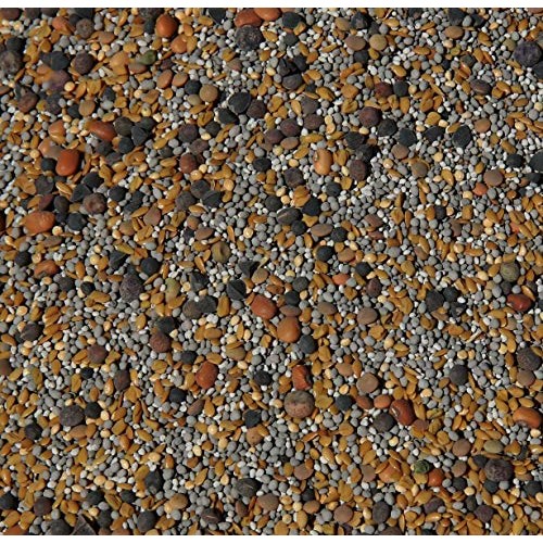 No-Till Cover Crop 13-Seed Mix 1 lb. Bag: [50% Clovers Plus Fe...