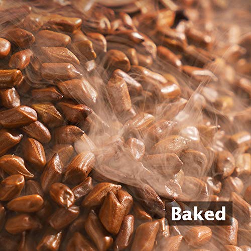 Cassia Seeds, Chinese Cassia Herbal Tea, Roasted Dried Cassia Lo...