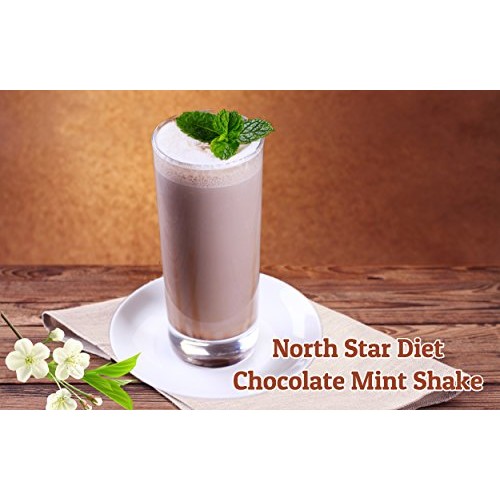 Chocolate Mint Pudding/Shake Aspartame Free