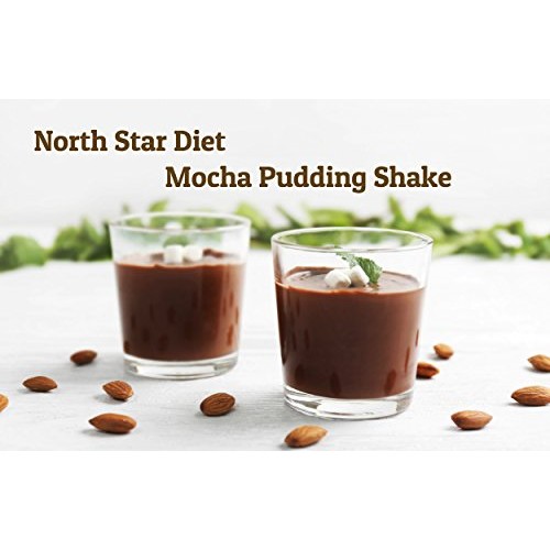 Mocha Pudding/Shake Aspartame Free