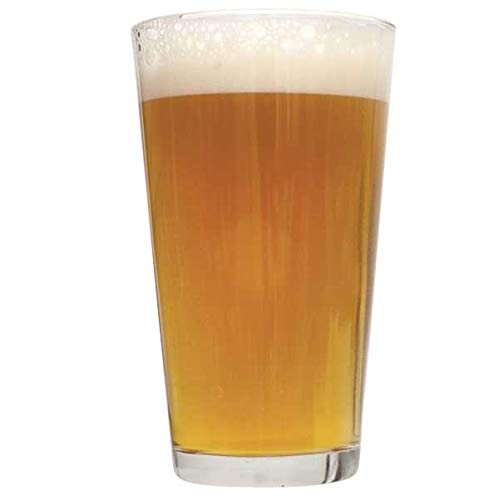 Northern Brewer - 2-Pack 1 Gallon Honey Beers Homebrew Recipe Kits