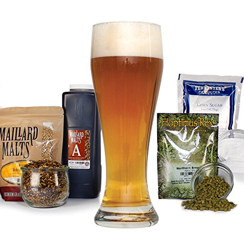 Raspberry Wheat Malt Extract Light Ale - Homebrewing Beer Brewin