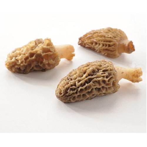 Northwest Wild Foods Dried Morel Mushrooms - Raw Handpicked Sund