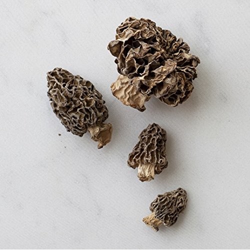 Northwest Wild Foods Dried Morel Mushrooms - Raw Handpicked Sund
