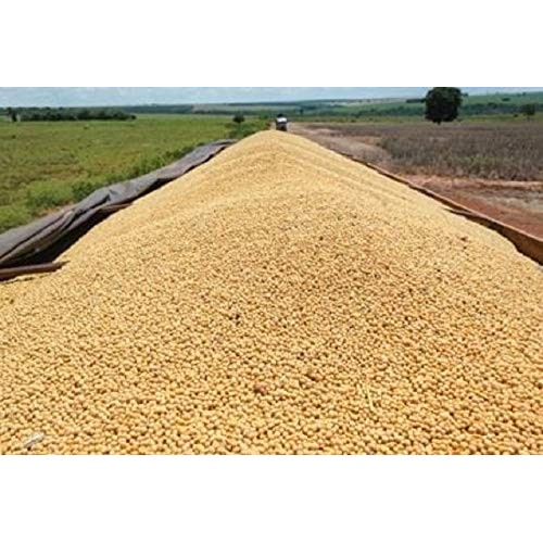 14 Lbs Soybeans----Soymilk,Tofu.Crafts