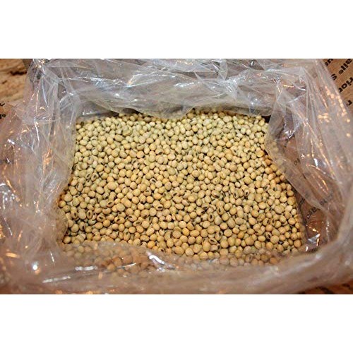 14 Lbs Soybeans----Soymilk,Tofu.Crafts