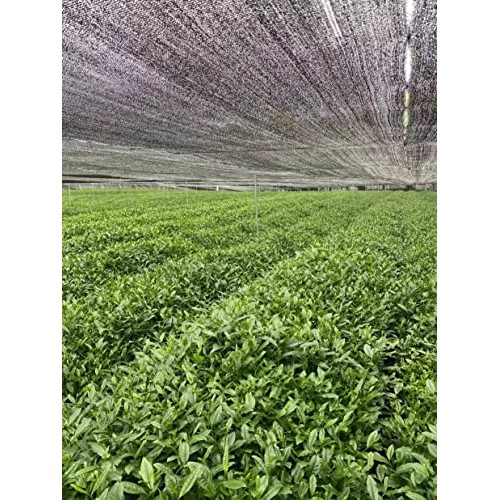 Nourishment Rituals Authentic Matcha Super Latte | Ashwagandha |...