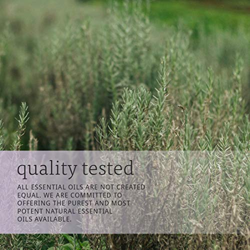 Now Essential Oils, Rosemary Oil, 2-Ounce