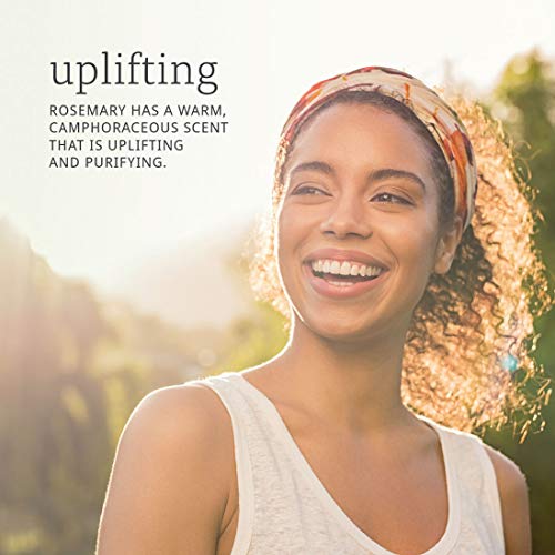 Now Essential Oils, Rosemary Oil, Purifying Aromatherapy Scent,