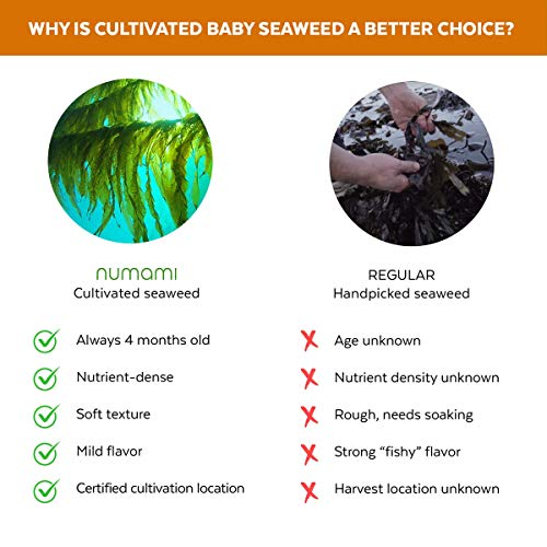 Organic Kombu Kelp Flakes - Young Baby Seaweed Grown In North At