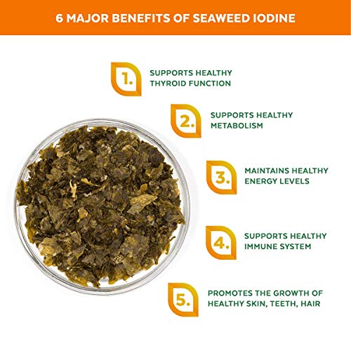 Organic Kombu Kelp Flakes - Young Baby Seaweed Grown In North At