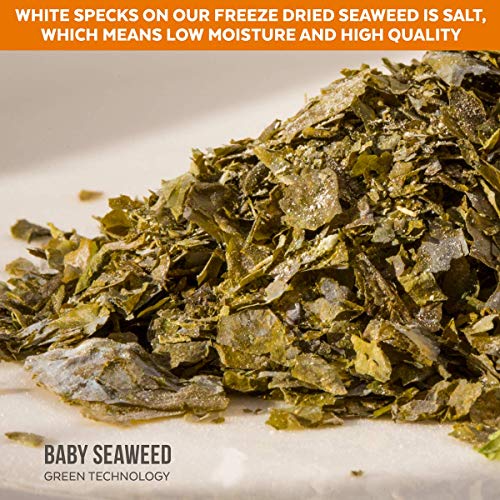 Organic Kombu Kelp Flakes - Young Baby Seaweed Grown In North At
