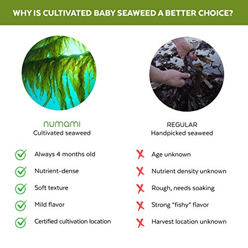 Organic Wakame Flakes - Young Baby Pure Seaweed Grown In North A