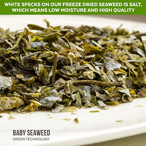 Organic Wakame Flakes - Young Baby Pure Seaweed Grown In North A