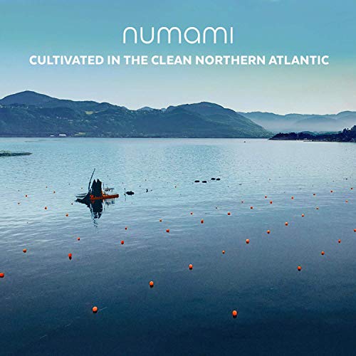 Organic Wakame Flakes - Young Baby Pure Seaweed Grown In North A