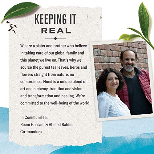 Numi Organic Tea Gunpowder Green, 100 Count Pack Of 1 Box Of T