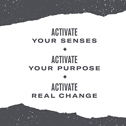 Numi Organic Tea Gunpowder Green, 100 Count Pack Of 1 Box Of T