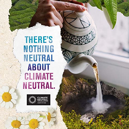 Numi Organic Tea Jasmine Green, 16 Ounce Pouch, Loose Leaf Tea ...