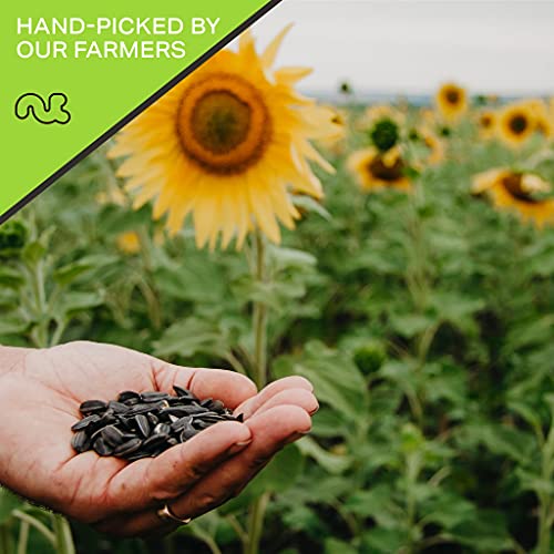 Raw Sunflower Seeds Kernels to eat, Unsalted, Shelled Hulled, Su...