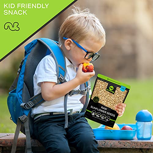 Raw Sunflower Seeds Kernels to eat, Unsalted, Shelled Hulled, Su...