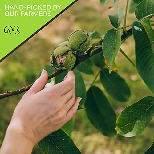 Raw Walnuts In Shell - Whole, Superior To Organic, 16Oz - 1 Pou