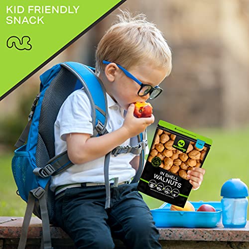 Raw Walnuts In Shell - Whole, Superior To Organic, 16Oz - 1 Pou