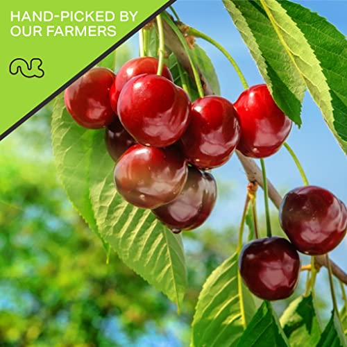 Sun Dried Sour Tart Cherries, Lightly Sweetened 32oz - 2 LB Pa...