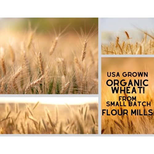 Nutmeg State Pizza Company Organic Whole Wheat Pizza Dough Mix -...