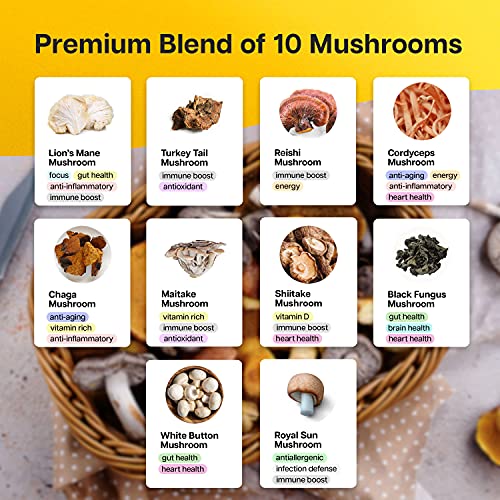 Mushroom Complex Supplements - Mushrooms Supplement with Lions M...