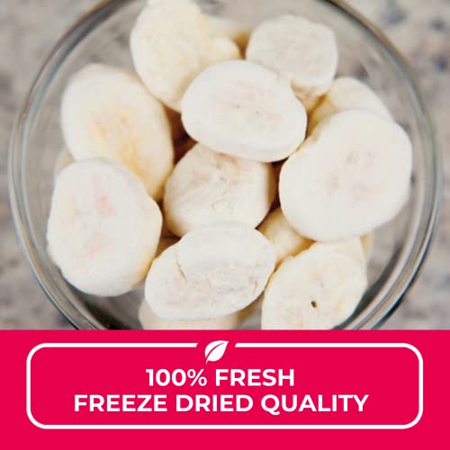 Nutristore Freeze Dried Bananas | 20 Servings | Emergency Surviv