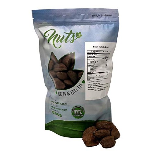 Nuts U.S. – Brazil Nuts In Shell | No Added Colors And No Artifi