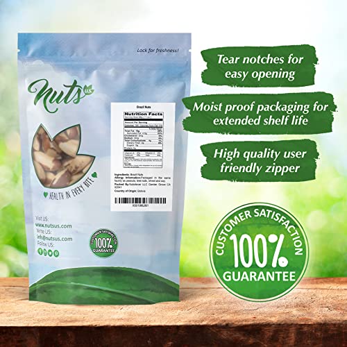 Nuts U.S. – Brazil Nuts | Shelled Whole Kernels | Raw And Unsalt