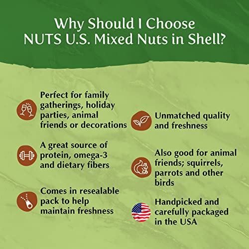Nuts U.S. – Mixed Nuts In Shell Almonds, Walnuts, Hazelnuts, Pe Nuts U.S. – Mixed Nuts In Shell Almonds, Walnuts, Hazelnuts, Pe