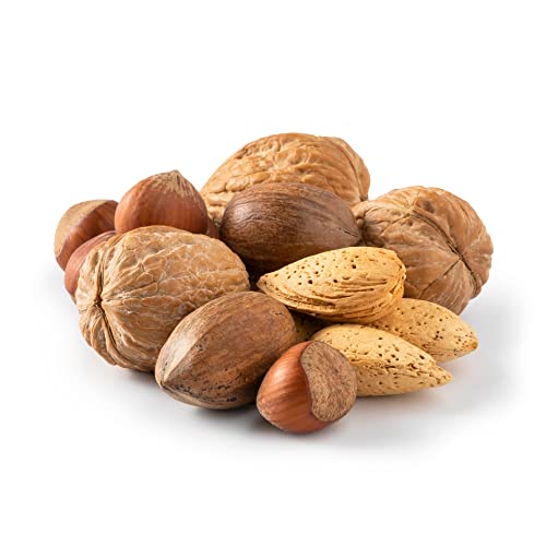 NUTS U.S. – Mixed Nuts In Shell Almonds, Walnuts, Hazelnuts, Pe...