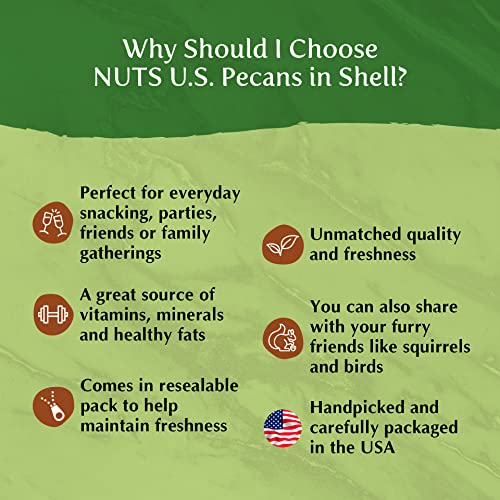 NUTS U.S. - Pecans In shell | Whole, Raw and Unsalted | No Added...