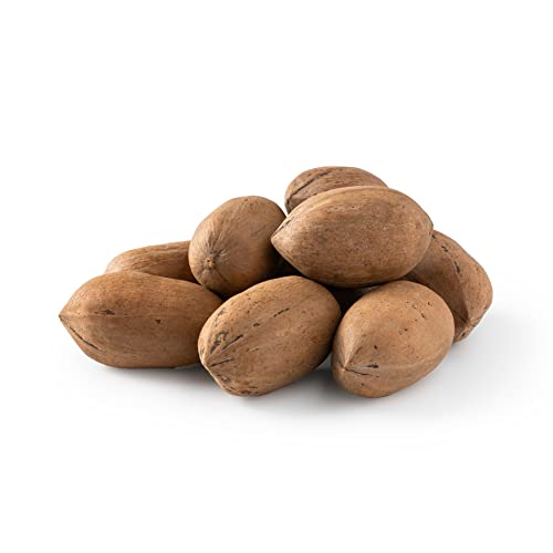 NUTS U.S. - Pecans In shell | Whole, Raw and Unsalted | No Added...