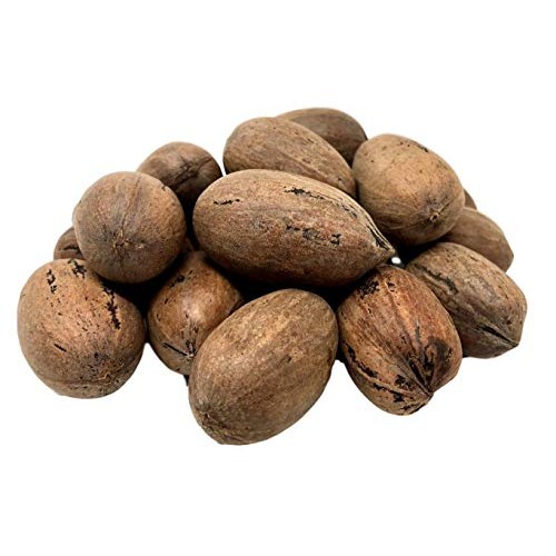 Nuts U.S. - Pecans In Shell | Whole, Raw And Unsalted | No Added