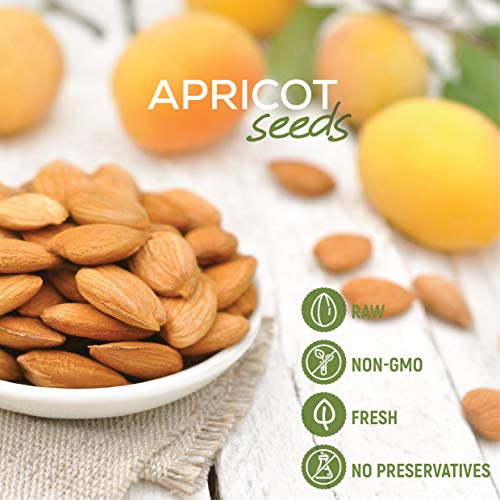 Nuts U.S. - Sweet Raw Apricot Kernels Seeds | Unpasteurized An