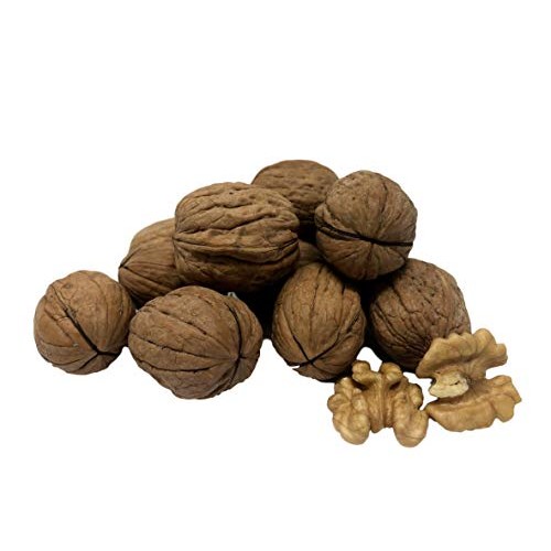 Nuts U.S. - Walnuts In Shell | Grown And Packed In California |