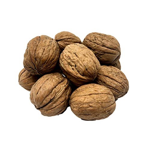 Nuts U.S. - Walnuts In Shell | Grown And Packed In California |