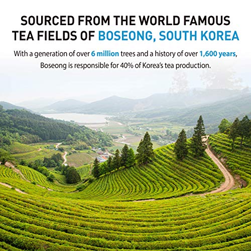 Organic Matcha Green Tea Powder [1.2 Oz Starter] Culinary Grade