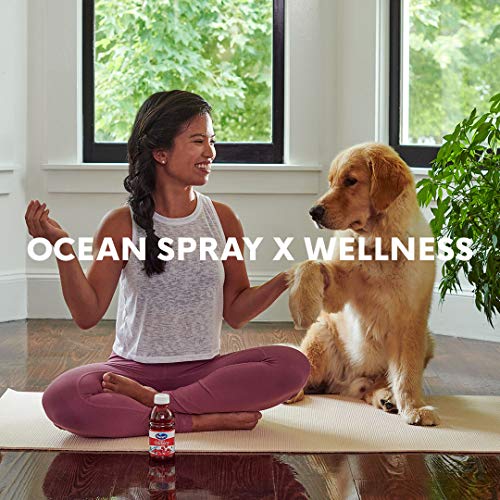 Ocean Spray Cran-Energy, Cranberry Raspberry Energy Juice Drink,