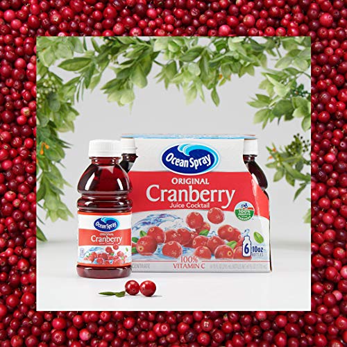 Ocean Spray Cranberry Juice Cocktail, 10 Ounce Bottle Pack Of 6