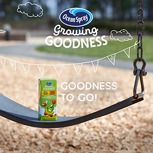 Ocean Spray Growing Goodness Kids Juice Beverage, Cranberry Stra...