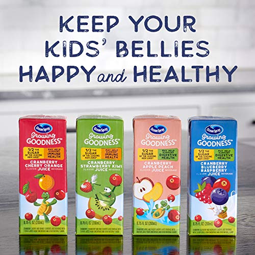 Ocean Spray Growing Goodness Kids Juice Beverage, Cranberry Stra...