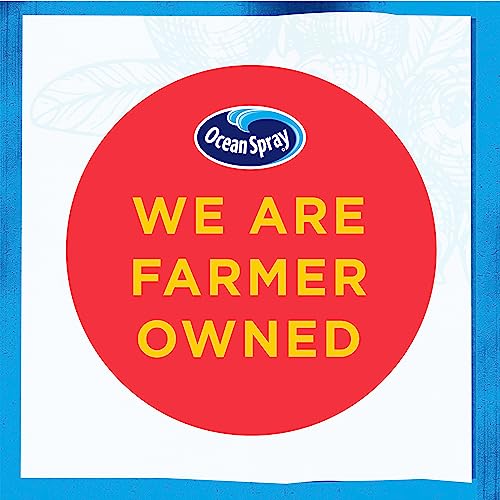 Ocean Spray Revitalize Cranberry Pineapple Juice, 10 fl oz, 6 count